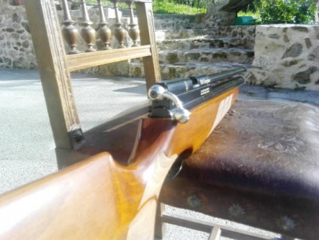 vendo esta carabina en perfectisimo estado.

Versión con el depósito y el cañon mas largo. Monotiro.

Madera 10