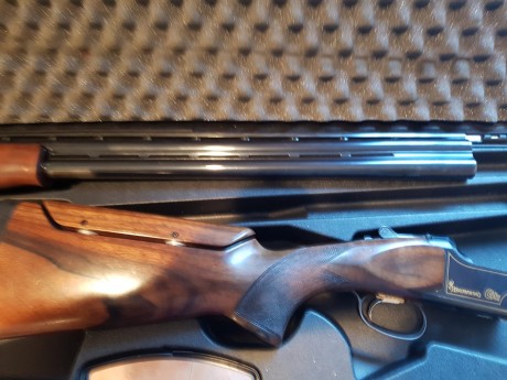 Vendo Browning Ultra GTI Sporter, 76 ctms. de cañon, 6 chokes Invector Plus, monogatillo, expulsora, selector 11