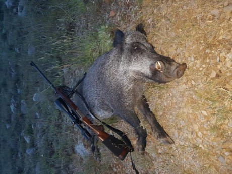 Vendo monotiro haenel calibre 6.5x57r con muy poco uso, con sus monturas regknagel...impoluto estado pasaría 00