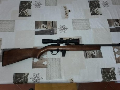 Vendo carabina 22 Marca CBC  Magtech modelo 7022. Lleva su cargador de 10 balas y un visor 4x32. Esta 02