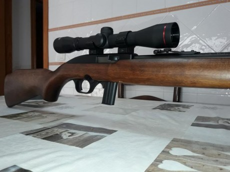 Vendo carabina 22 Marca CBC  Magtech modelo 7022. Lleva su cargador de 10 balas y un visor 4x32. Esta 01