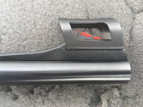 Vendo cz557 sintético en 30-06 y con visor Burris FourX 1.5-6x42 ir y monturas desmontables warne...
Nunca 20