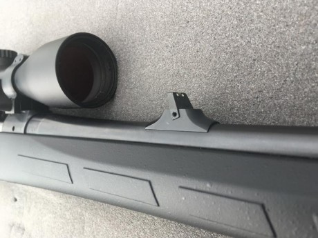 Vendo cz557 sintético en 30-06 y con visor Burris FourX 1.5-6x42 ir y monturas desmontables warne...
Nunca 32