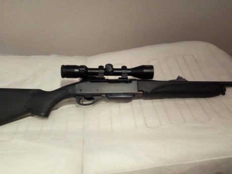 Hola vendo rifle semiautomatico remington 750 sintetico en perfecto estado con menos de 100 tiros calibre 02