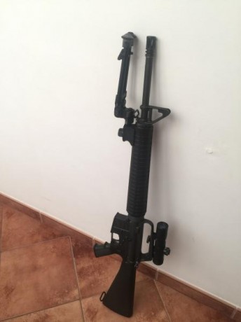 Vendo Colt Sporter II, calibre .222 con varios accesorios:

Gatillo de tiro timney
4 cargadores Colt originales
Correa 10