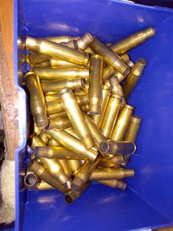 Vendo 80 vainas lapua palma 01