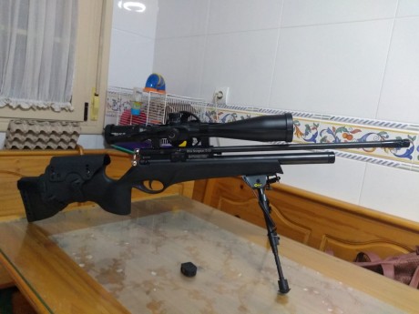 Un compañero me pide que ponga a la venta por cambio de modalidad lote carabina BSA Scorpion T10 (5,5 02