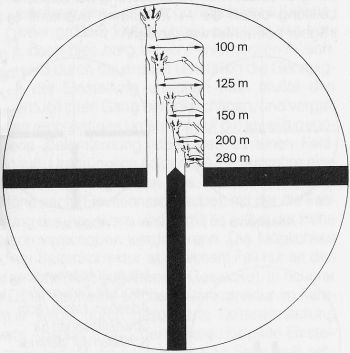 Me suena que con las retículas en primer plano focal, de las retículas german 1(la de los tres palitos)
había 30