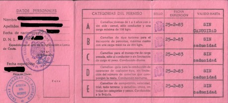  PETICIÓN AL GOBIERNO DE ESPAÑA PARA LA CREACIÓN DE UNA MEDALLA CONMEMORATIVA DEL SERVICIO MILITAR OBLIGATORIO. 141