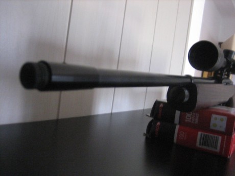 Vendo esta divertida carabina de repetición en 4,5 y con poquísimo uso. Es de co2 con botellines de 12 02