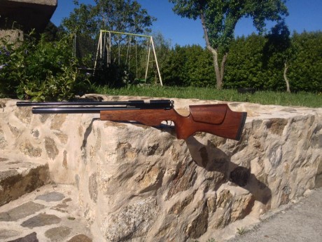 vendo esta carabina en perfectisimo estado.

Versión con el depósito y el cañon mas largo. Monotiro.

Madera 51