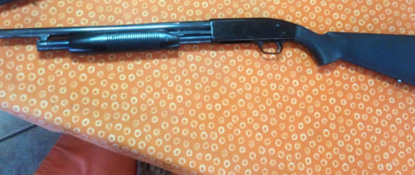 Buenas noches,
Vendo mi Mossberg 500A cañon cilindrico de 47cm.
La compré hace 2 años a un compañero con 01