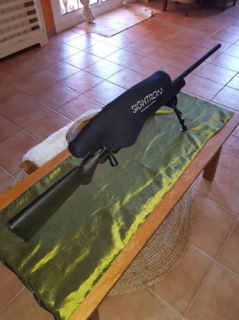 hola pongo a la venta dos rifle calibre 308 win los dos. un remington 700 police con visor sightron SIII 02