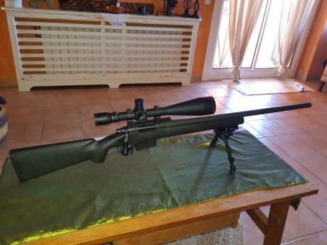 hola pongo a la venta dos rifle calibre 308 win los dos. un remington 700 police con visor sightron SIII 01