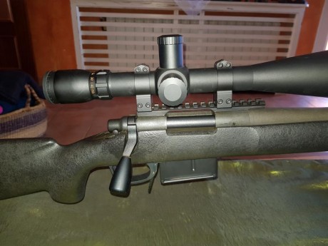 hola pongo a la venta dos rifle calibre 308 win los dos. un remington 700 police con visor sightron SIII 00