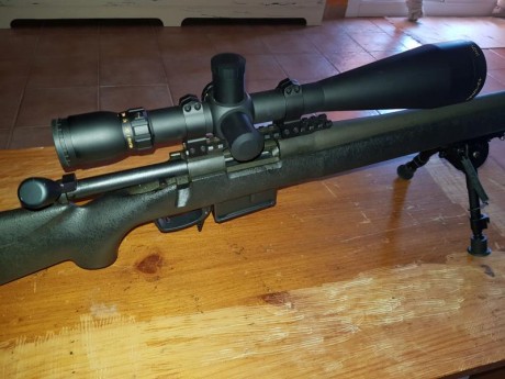 hola pongo a la venta dos rifle calibre 308 win los dos. un remington 700 police con visor sightron SIII 10