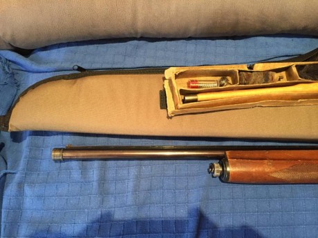 Se vende escopeta repetidora semiautomática Fabarm modelo Ellegi calibre 12, gases, adaptada a 3 disparos, 20