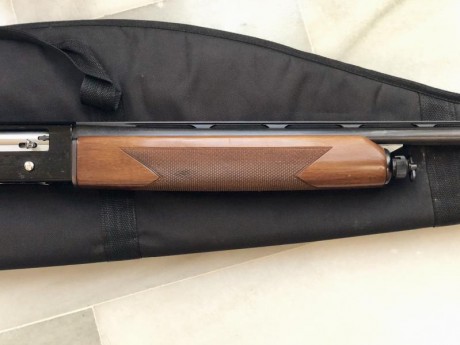 Vendo escopeta:
Beretta modelo A 302.
Calibre 12.
Dos estrellas.
Ideal para caza.
Tiene muy poco uso.
Cañón 02