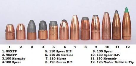 Hola, me gustaría saber que punta usariais en 130 grains en calibre 30-06 para recechar corzo.
Un saludo 50