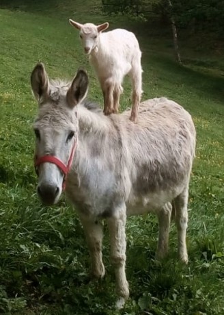 ¡Muy buenas a todos!

Estaba dando un paseo por el foro, cuando me he dado cuenta de que no había un hilo 120