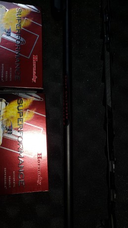 VENDIDO

 Se vende rifle de cerrojo Winchester XPR 338Wmg

Se incluye Visor Vortex 3-12x56 Hog hunter 02