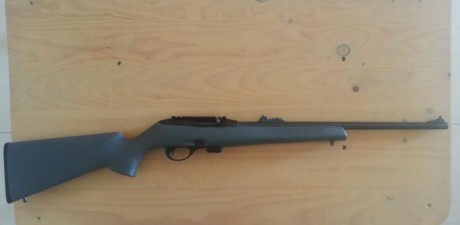 Cambio esta carabina del remington 597 del 22lr (con su cargador+bases para visor) por pistola del 22lr 00