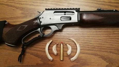 Vendo Marlin modelo 444 SS .
Cañón microestriado de 22 " (55,8 cm.) con carril Picatinny.
Muy buen 12