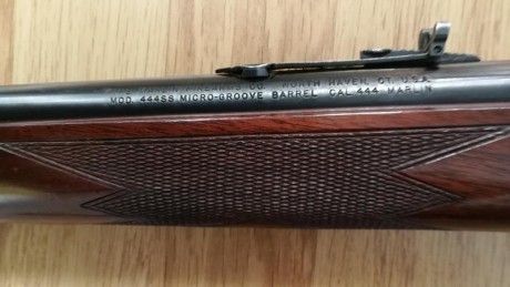 Vendo Marlin modelo 444 SS .
Cañón microestriado de 22 " (55,8 cm.) con carril Picatinny.
Muy buen 21