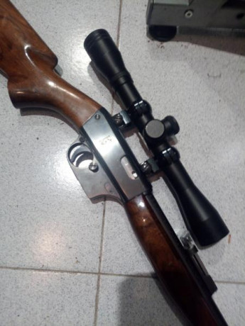 Con visor gamo y dos cargadores.
200+envío 01