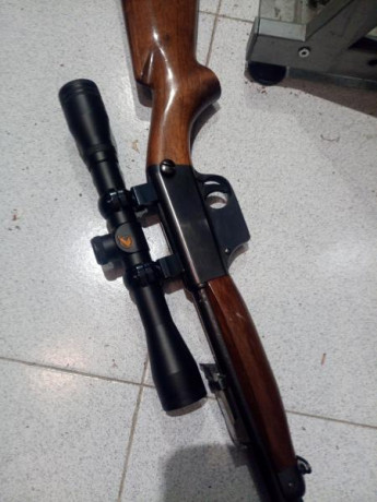 Con visor gamo y dos cargadores.
200+envío 00