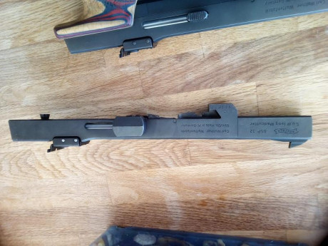 Walther GSP 22 con el Kit de conversión al 32. Lleva sus 2 cargadores por calibre, un contrapeso de 40 01