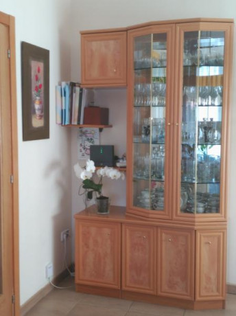 Cambio mueble de salón y vitrina en color roble, acepto todo tipo de cambio (armas, herramientas, remolque, 02