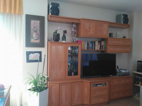 Cambio mueble de salón y vitrina en color roble, acepto todo tipo de cambio (armas, herramientas, remolque, 00