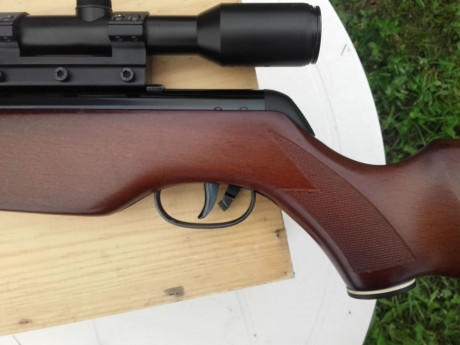 Vendo gamo magnum 4.5 impoluta.
Nada de uso. Ni una sola marca de uso ni en madera ni en pavón. Nada. 12