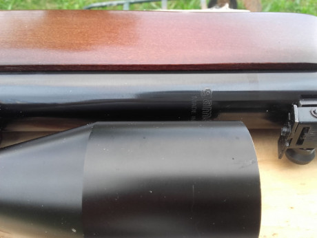 Vendo gamo magnum 4.5 impoluta.
Nada de uso. Ni una sola marca de uso ni en madera ni en pavón. Nada. 11