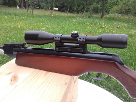 Vendo gamo magnum 4.5 impoluta.
Nada de uso. Ni una sola marca de uso ni en madera ni en pavón. Nada. 10