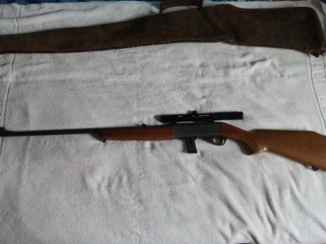 Carabina en buen estado. Se vende con mira hakko 3x7x y funda. 1 cargador. Desmontable.

Envíos a cargo 00