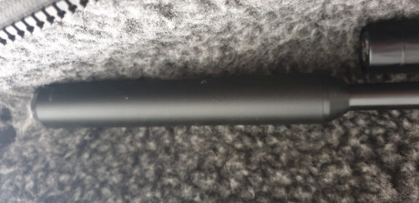Vendo BSA BUCANNER con mira bsa,silenciador ,dos cargadores de 10 ,pitote de carga y puerto de transferencia 21
