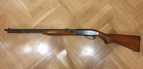Pues lo dicho busco carabina calibre 22 sobre 100€ Para tirar barato en el campo de tiro, escucho ofertas. 11