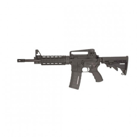 -Calibre .222 R.

-Cañón de 12,5 a 14,5 pulgadas, no más.

-  ADC o Luvo   como primeras opciones.  Astra, 20