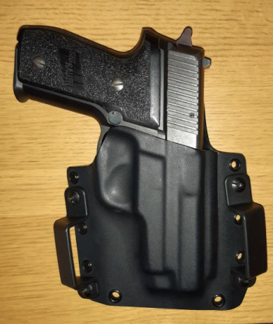 Vendo SIG SAUER P228 con dos cargadores y funda de Kydex.

El arma se encuentra en Madrid, gastos de envío 02