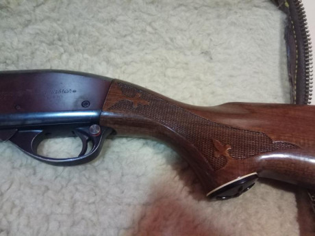  IMG_20190602_215304.jpg Vendo Remington corredera wingmaster como nueva.  400. Euros. Cañón 71. 1+4. 20