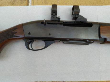 Por exceso de armas vendo rifle Remington 7.400 en calibre 30-06 y con monturas appel. El rifle se encuentra 01