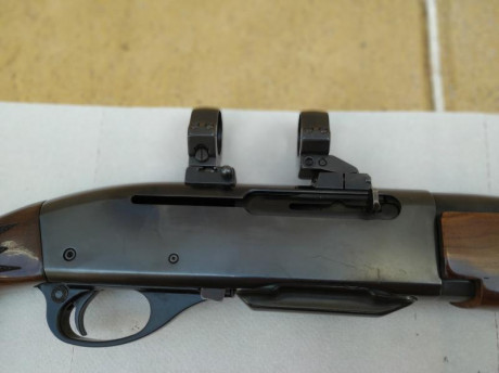 Por exceso de armas vendo rifle Remington 7.400 en calibre 30-06 y con monturas appel. El rifle se encuentra 51