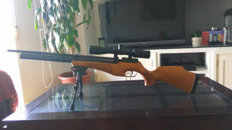 Buenos días.
Me gustaría comprar un adaptador a riel picatinny, de 11 mm que trae la Azor a 20 mm. Me 10
