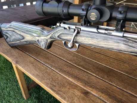 Se vende Marlin 17 HMR cañón pesado de 56, como nuevo, precio 700 sin visor 500.
Va con un visor Japonés 01