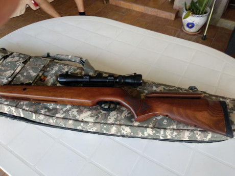 Hola pongo en venta está carabina una Fénix Compact 400,está impoluta habré tirado unos 20 tiros para 30