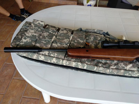 Hola pongo en venta está carabina una Fénix Compact 400,está impoluta habré tirado unos 20 tiros para 40