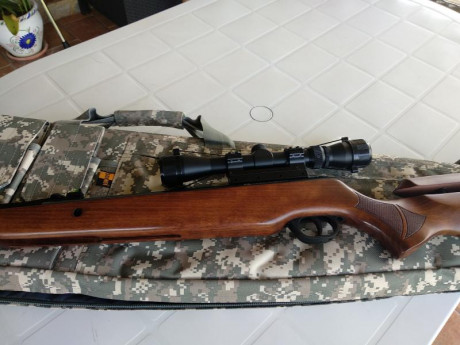 Hola pongo en venta está carabina una Fénix Compact 400,está impoluta habré tirado unos 20 tiros para 50