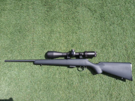 Hola 
Vendo esta carabina porque no le doy uso. Estado a estrenar. Solo ha disparado una caja de 50 unidades 10